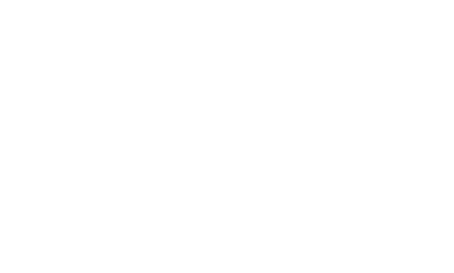 HAIX Logo